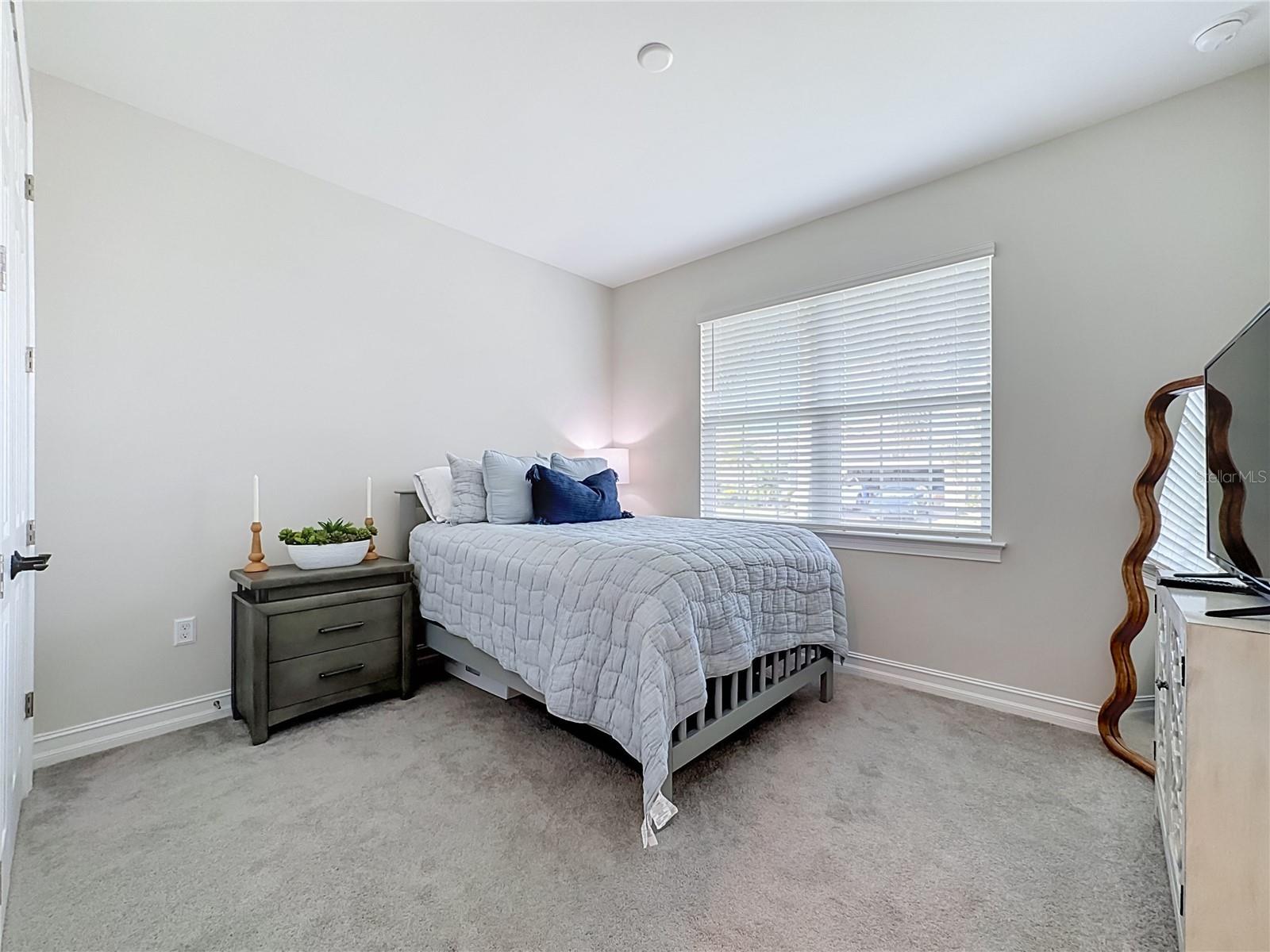 446 IBIZA LOOP — photo 33