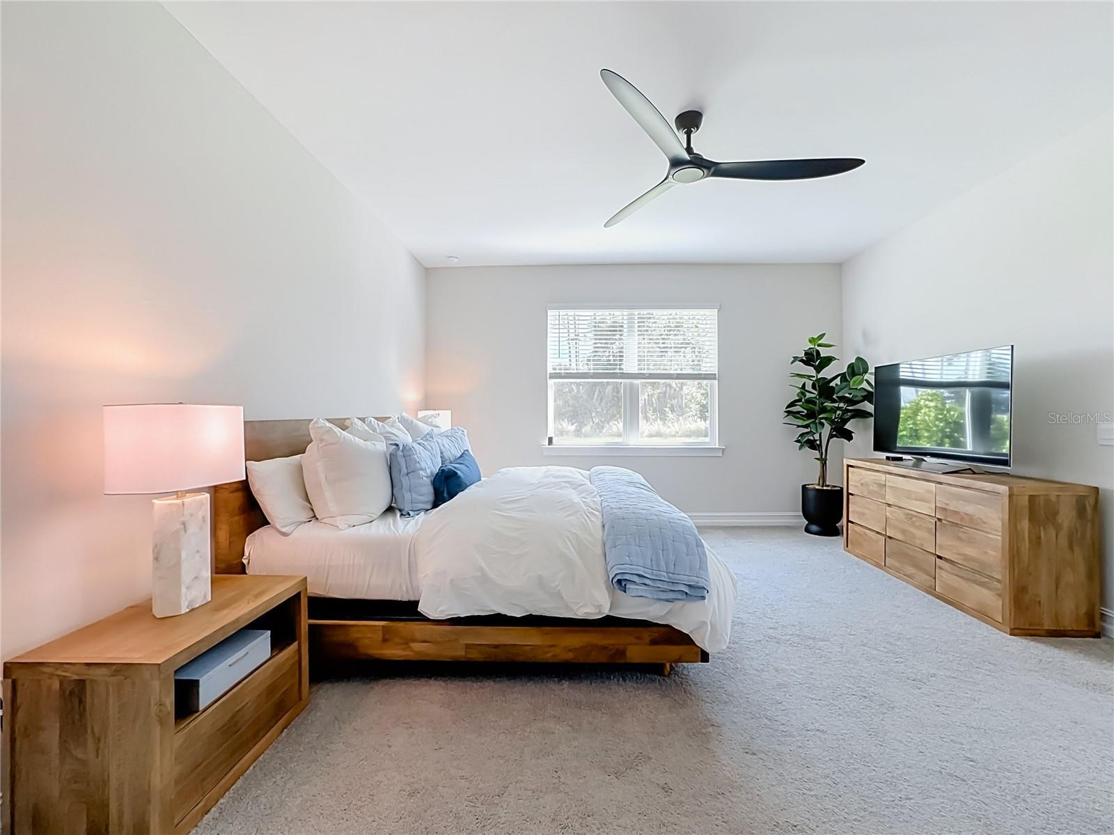 446 IBIZA LOOP — photo 24
