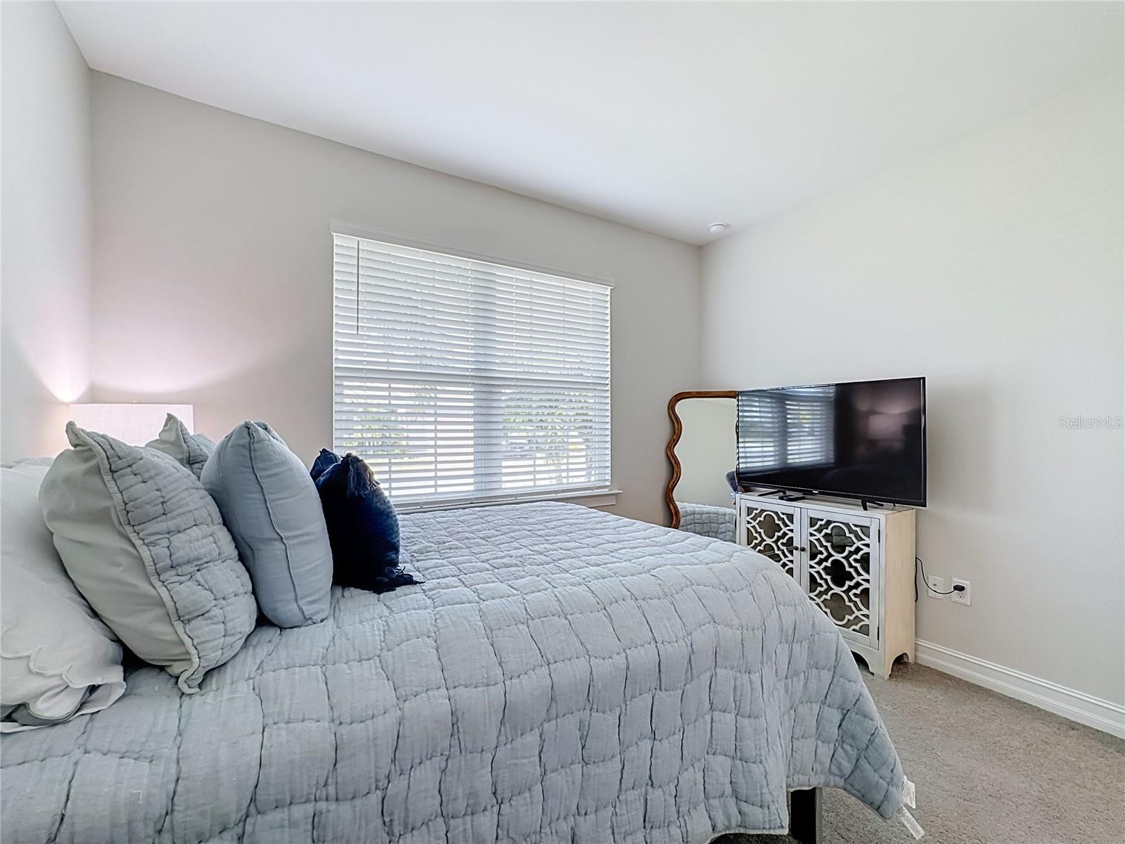 446 IBIZA LOOP — photo 34