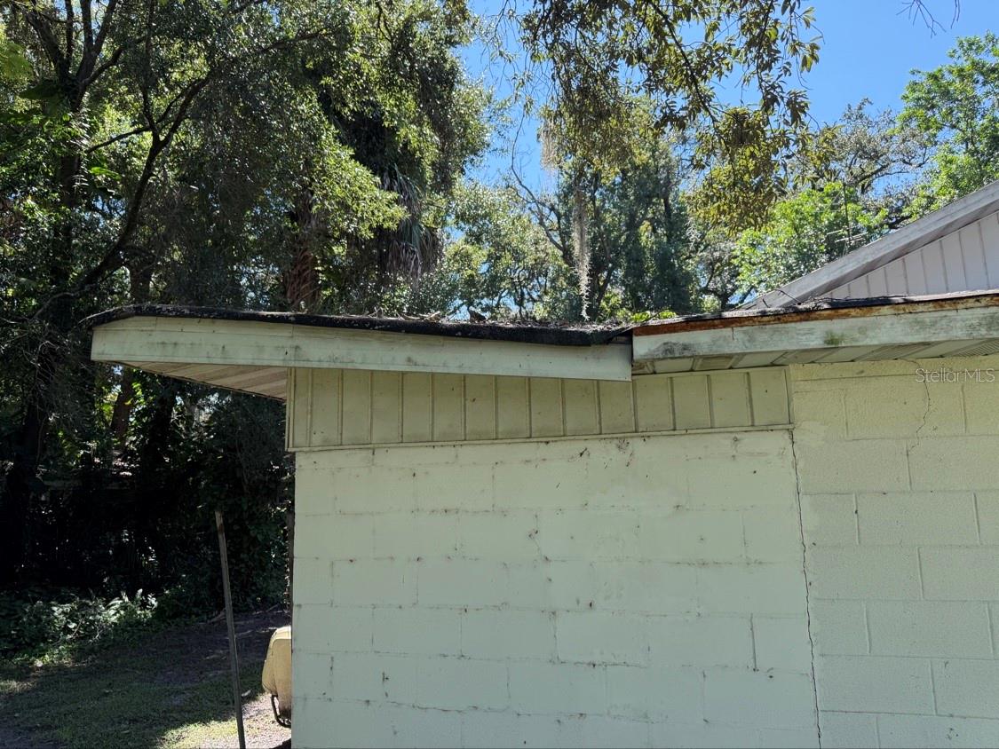 10109 N JASMINE AVE — photo 17