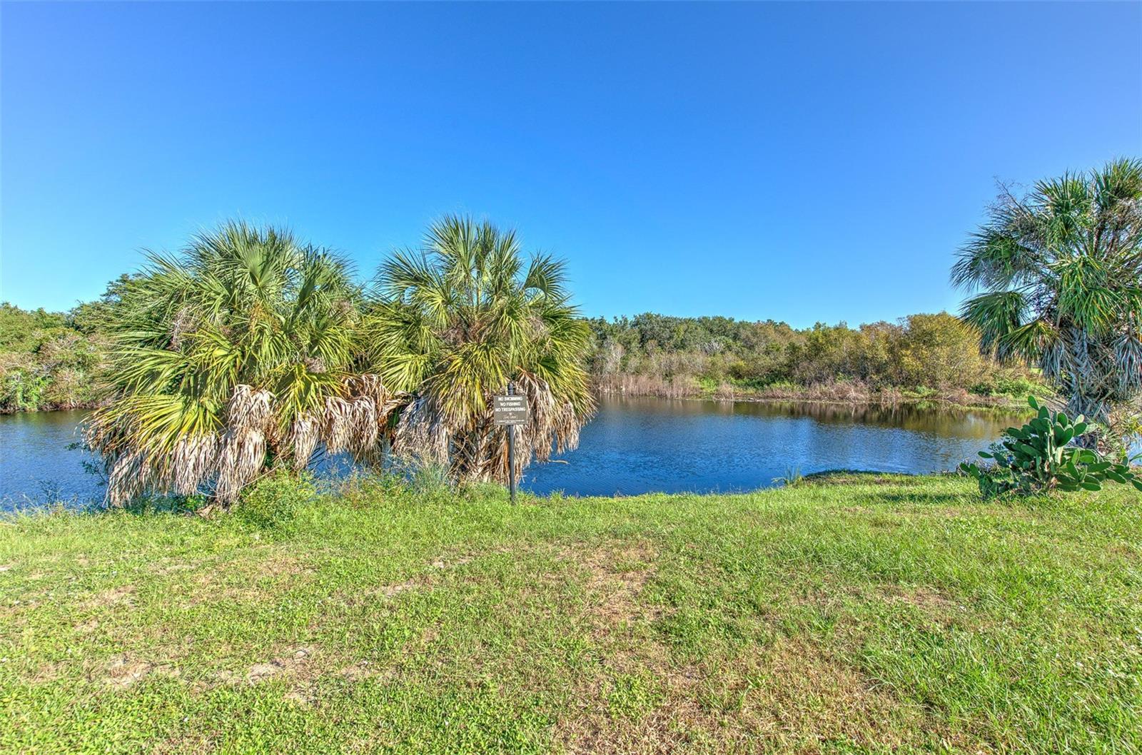8804 SANDY PLAINS DR — photo 5
