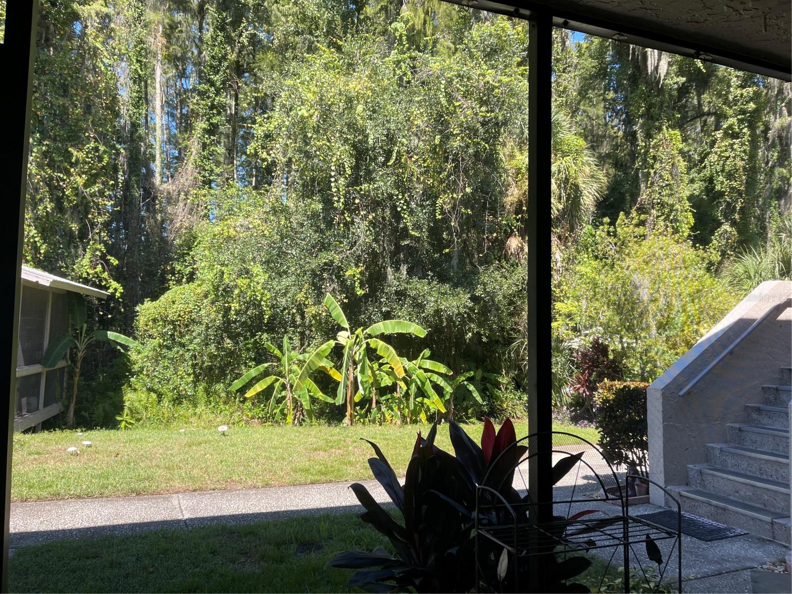 20893 HAULOVER CV #5 — photo 32