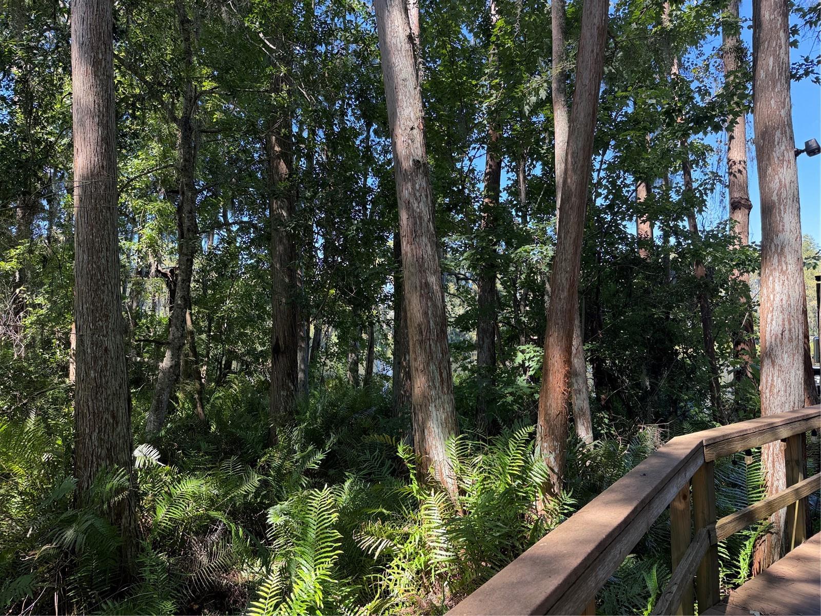 20893 HAULOVER CV #5 — photo 38