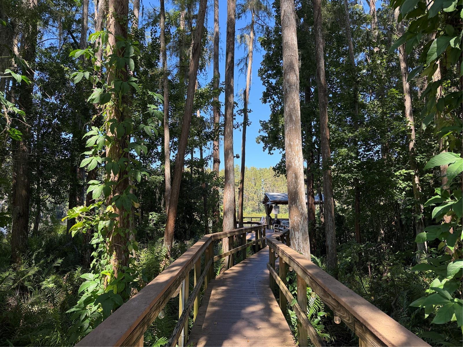 20893 HAULOVER CV #5 — photo 37