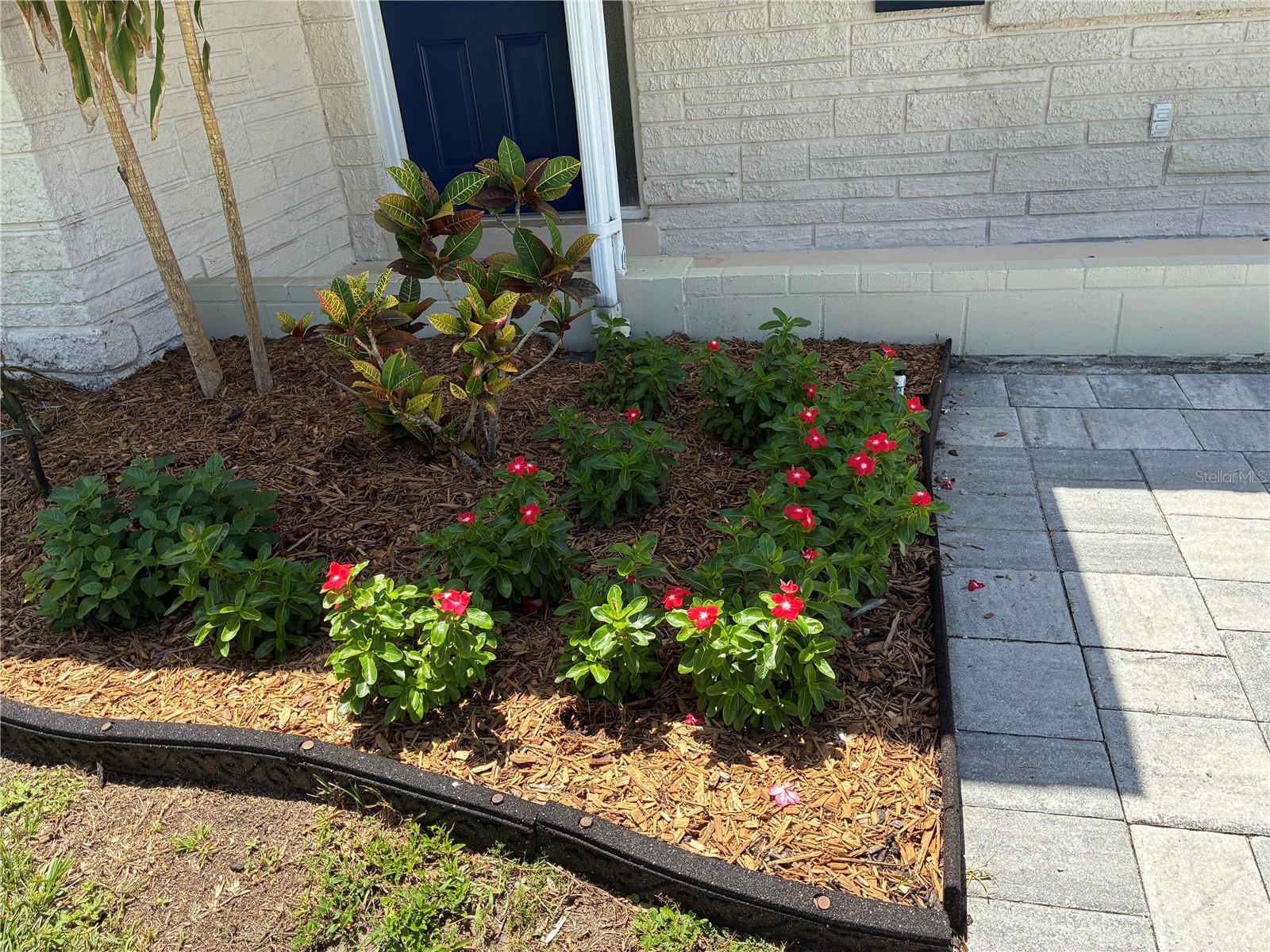 52 CYPRESS DR — photo 2