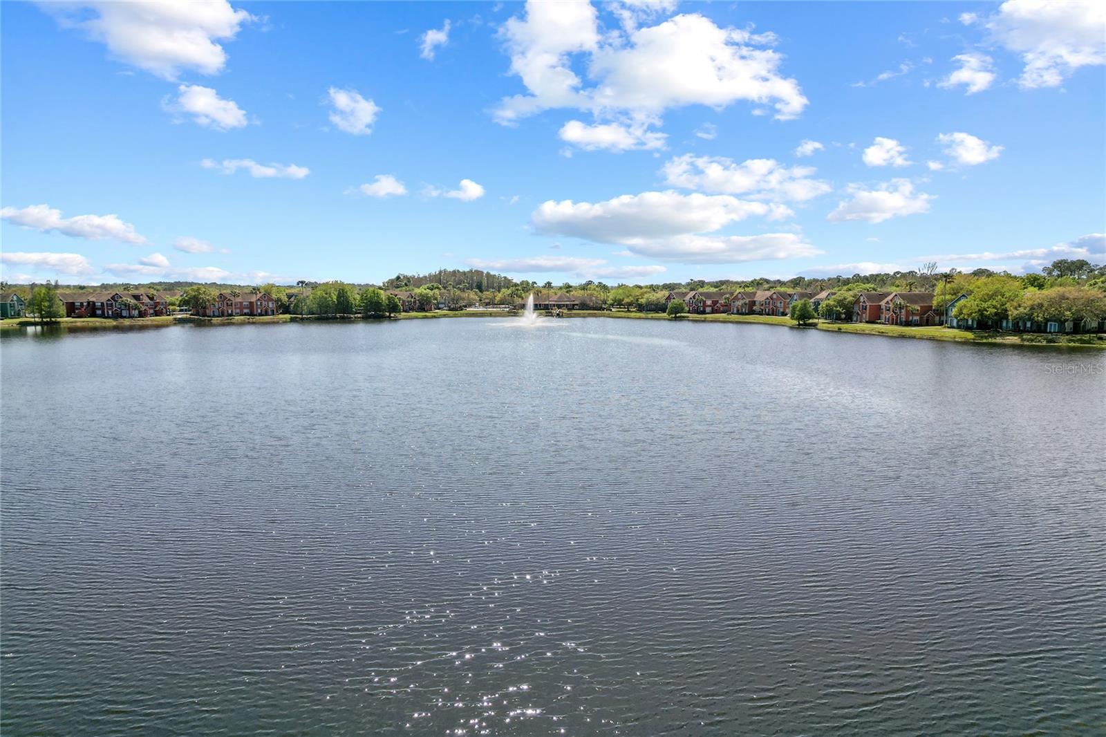 9158 LAKE CHASE ISLAND WAY #9158 — photo 34