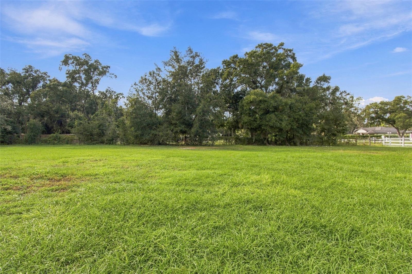 RHEA DR — photo 4