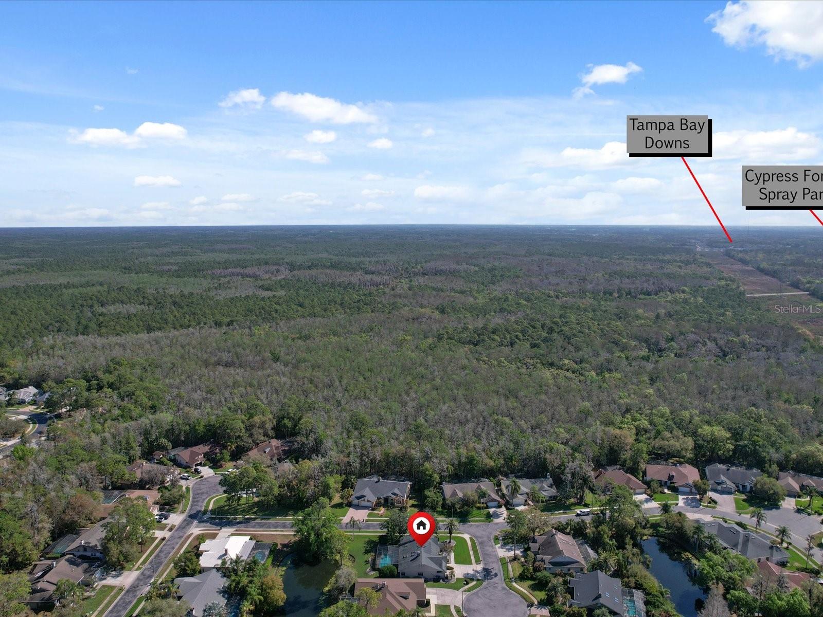10 WINDRUSH CT — photo 47