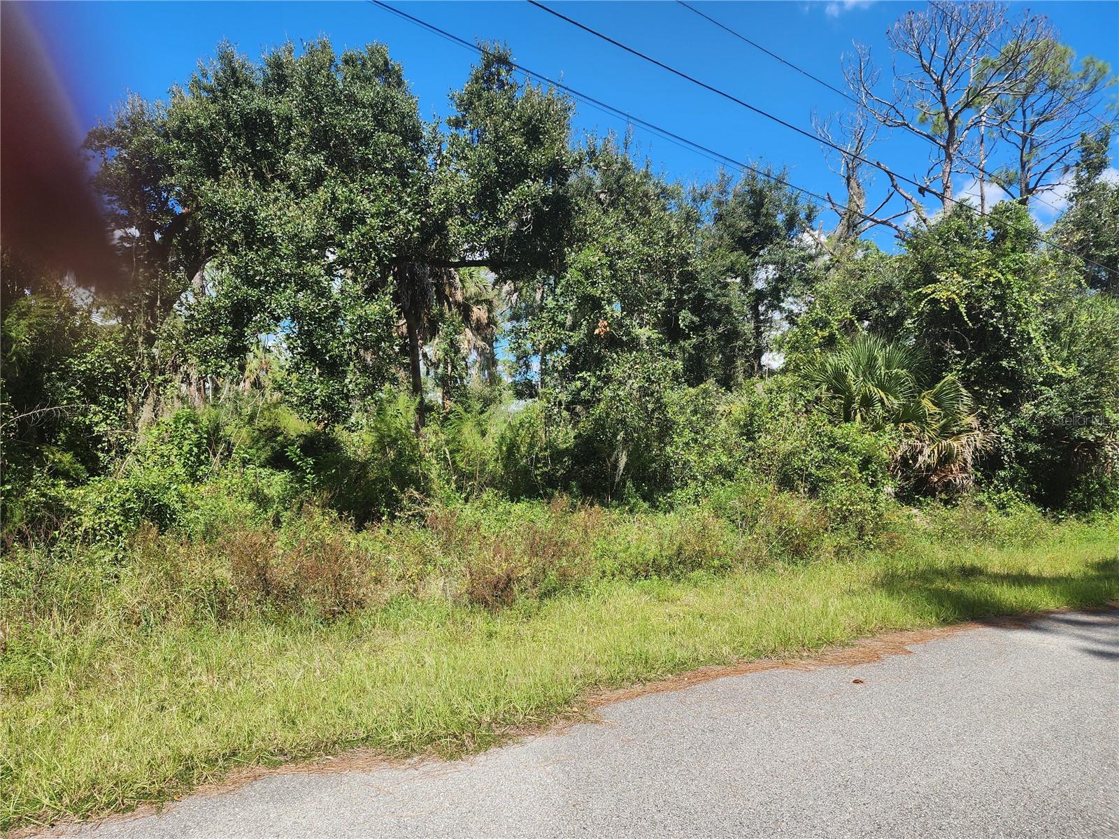 DORIE ST — photo 11