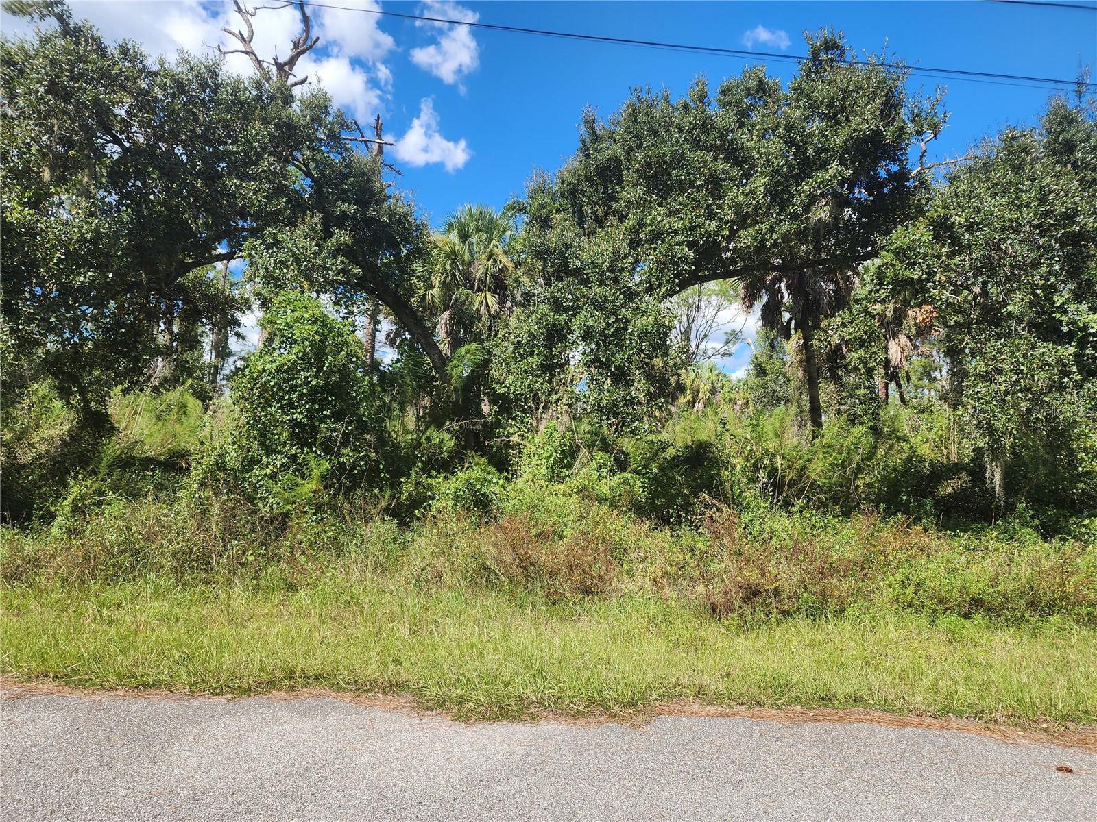 DORIE ST — photo 12