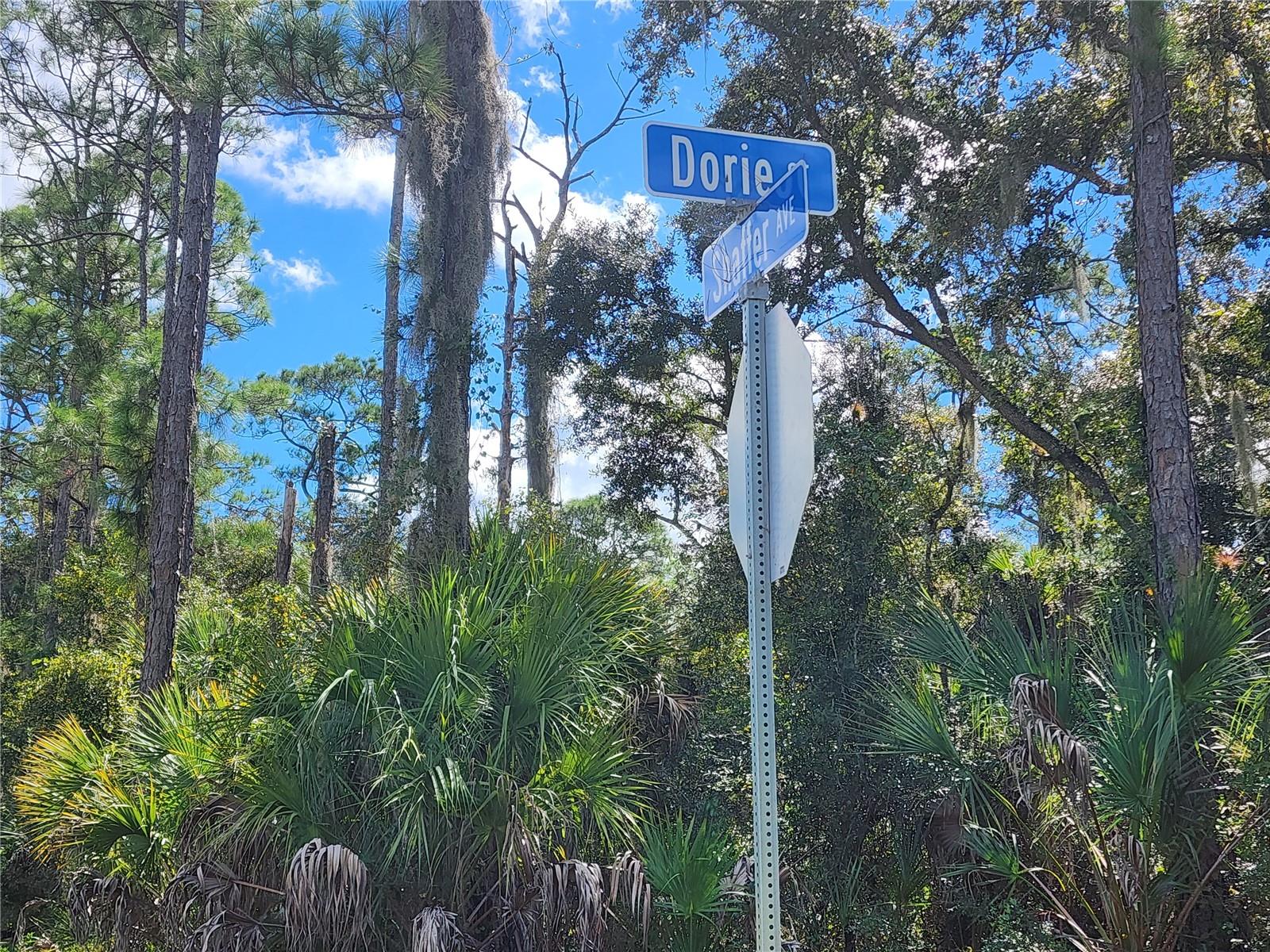 DORIE ST — photo 19