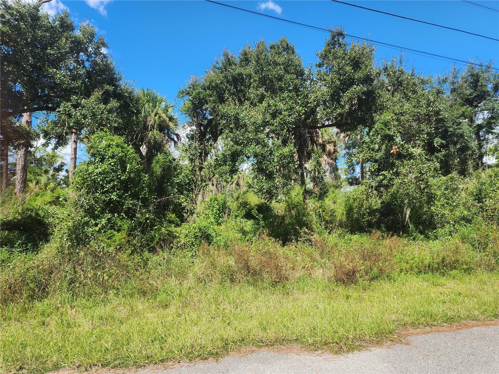 DORIE ST — photo 9