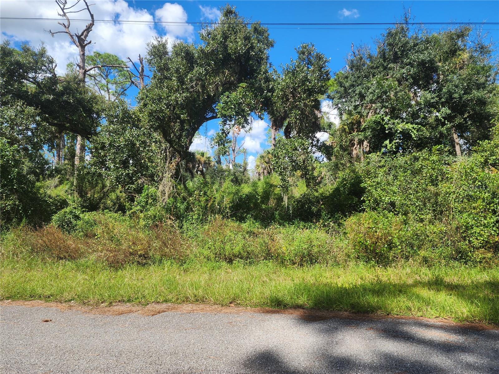 DORIE ST — photo 14