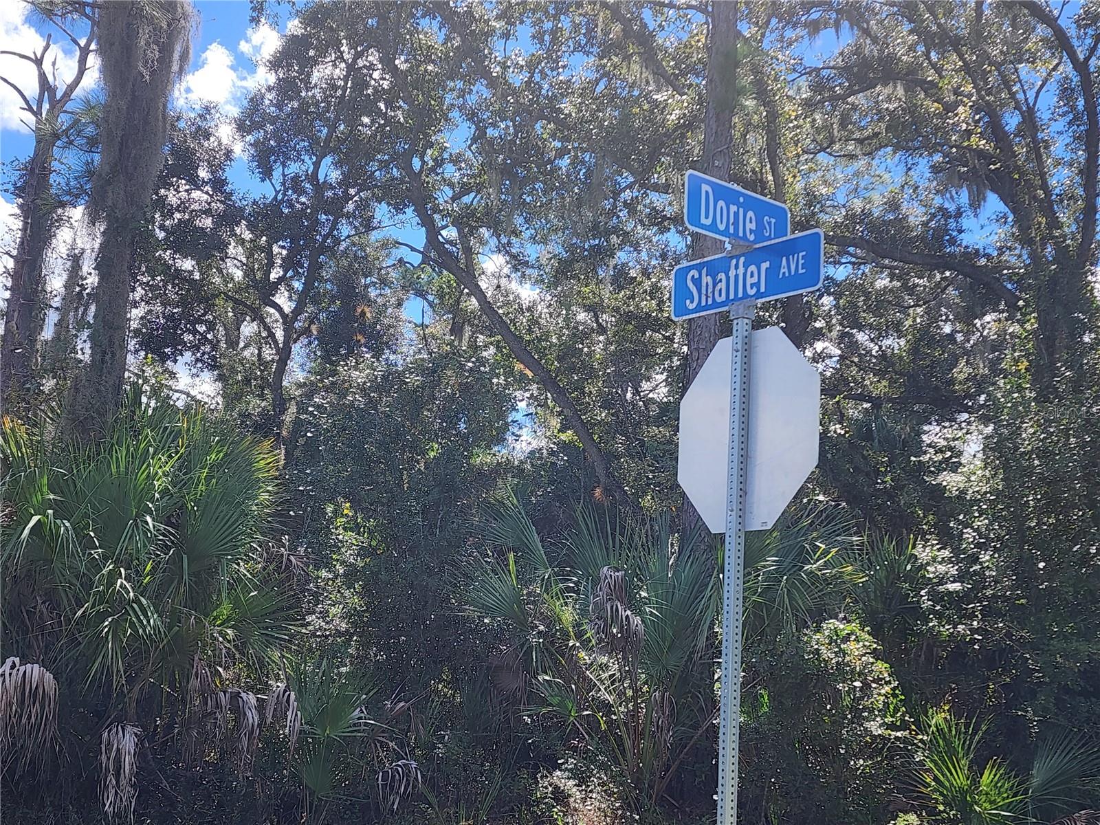 DORIE ST — photo 20
