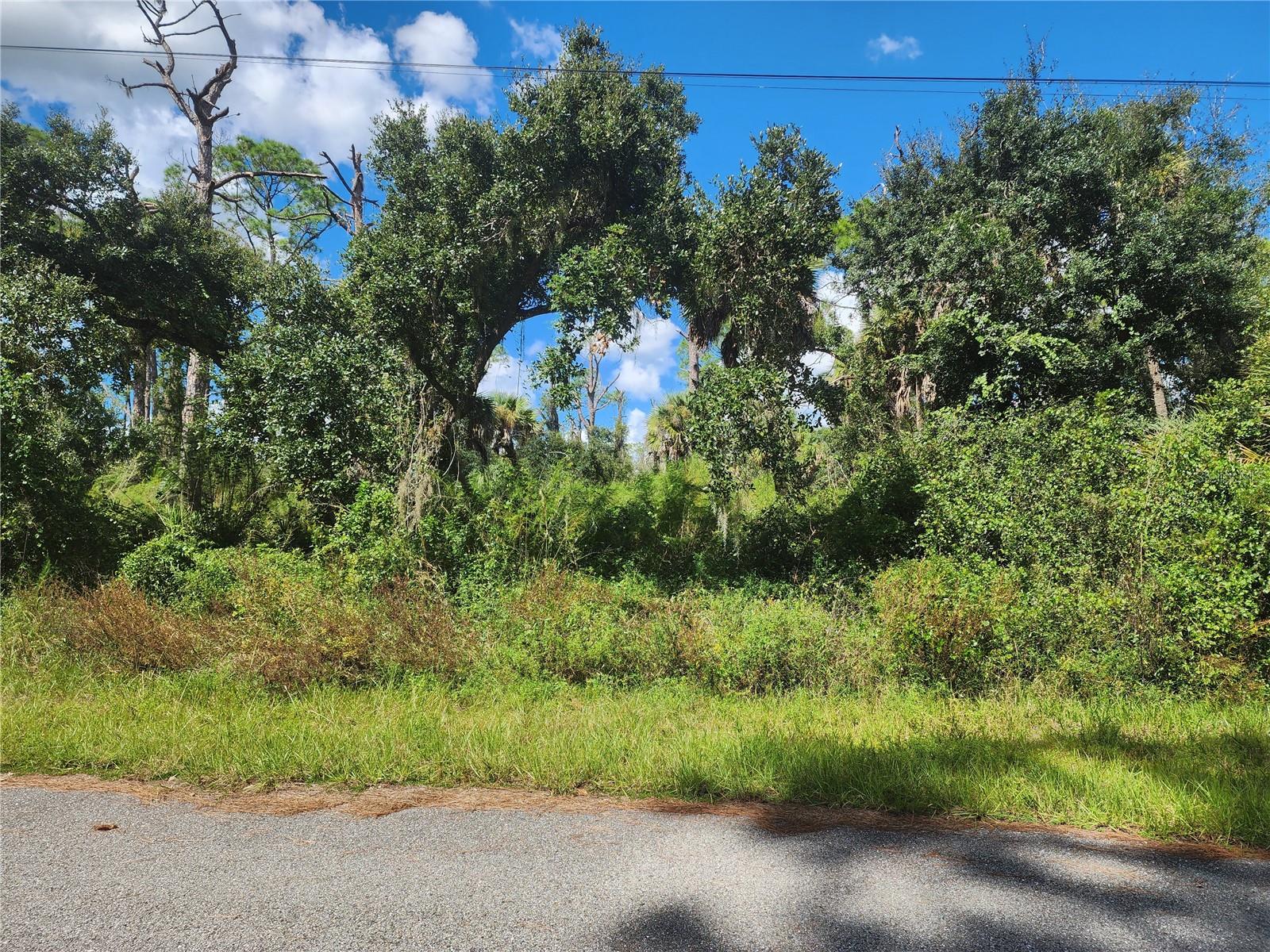 DORIE ST — photo 15