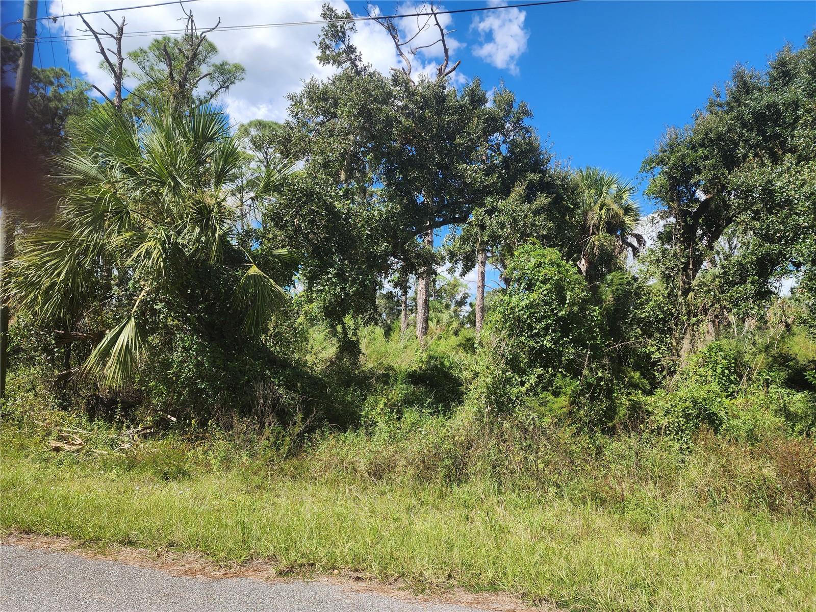 DORIE ST — photo 10