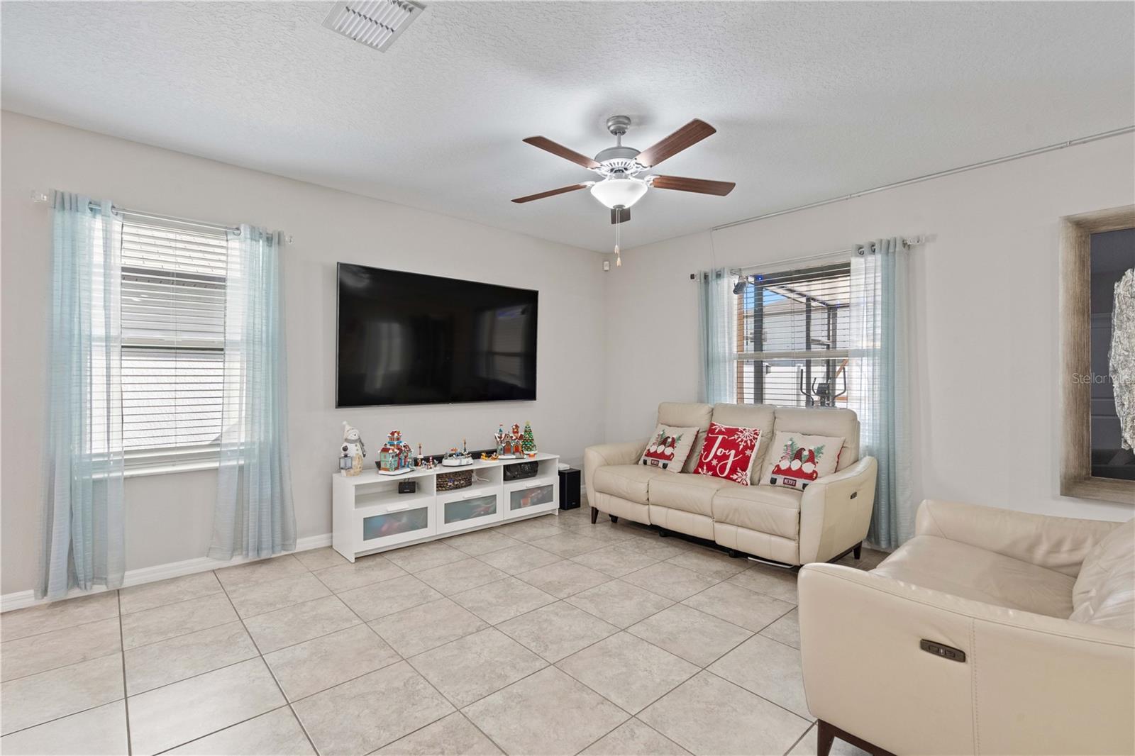 3717 CAT MINT ST — photo 8