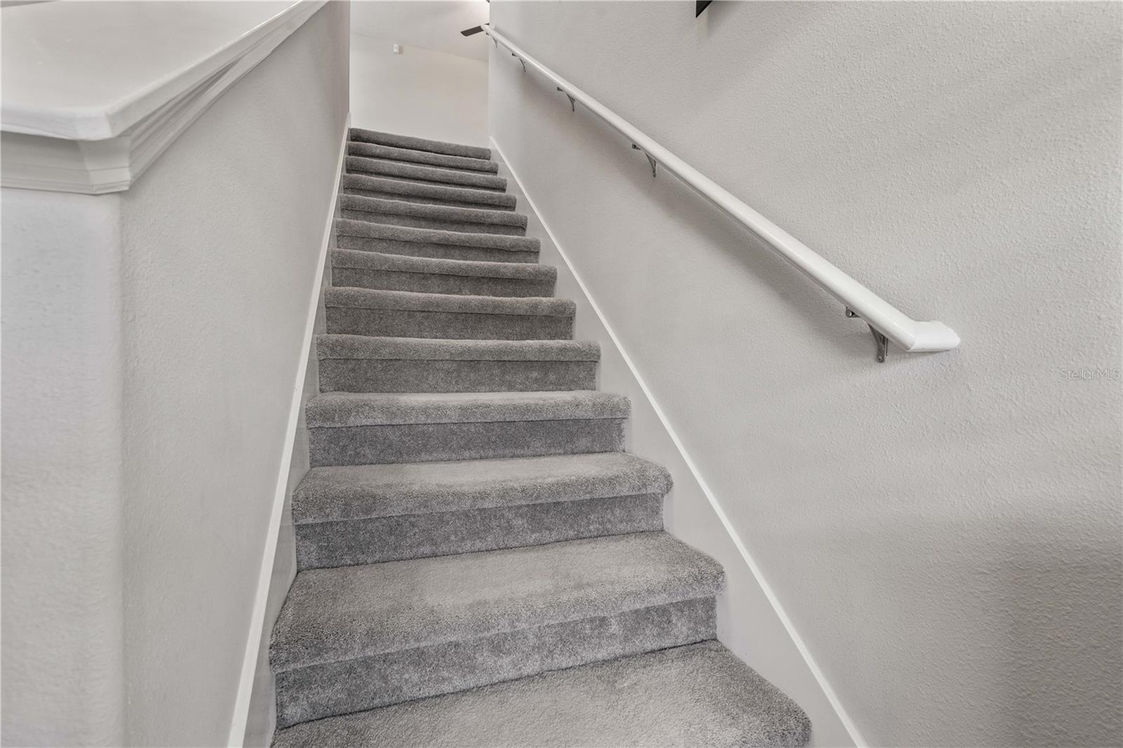 3717 CAT MINT ST — photo 16