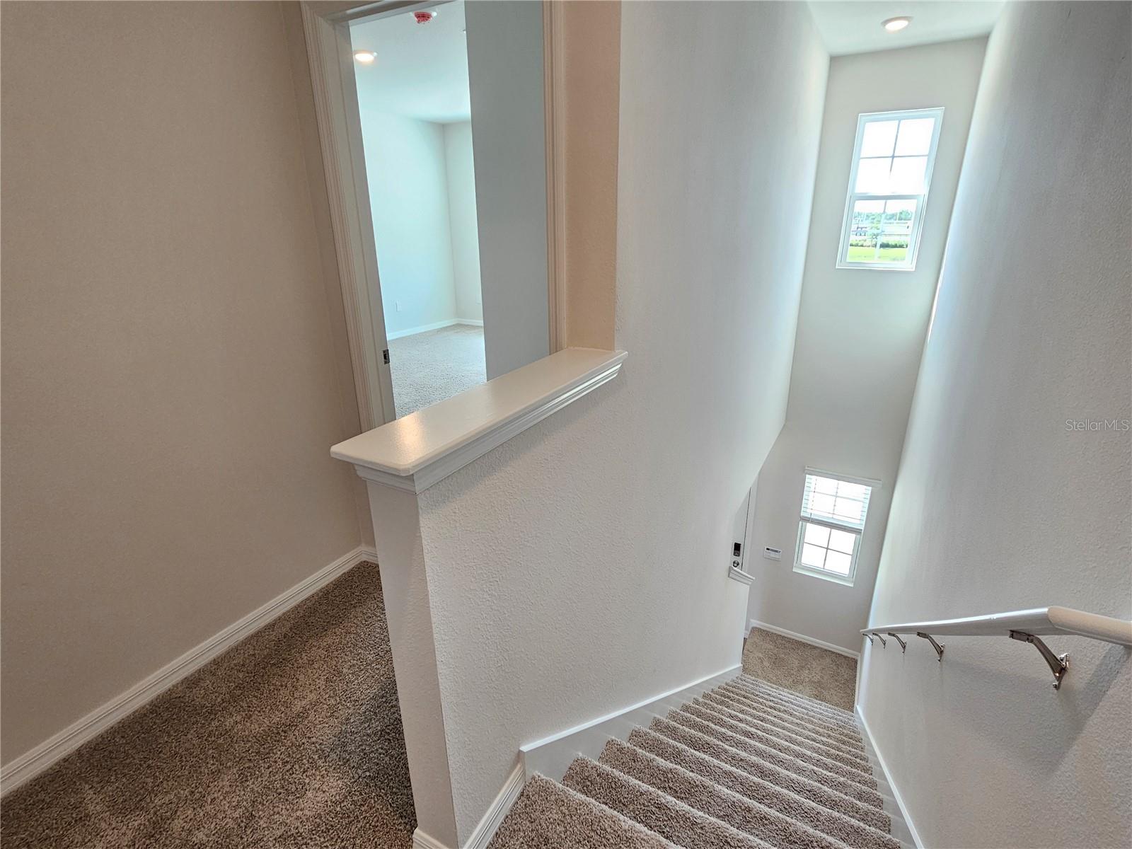 10710 TIGER LILY DR — photo 25