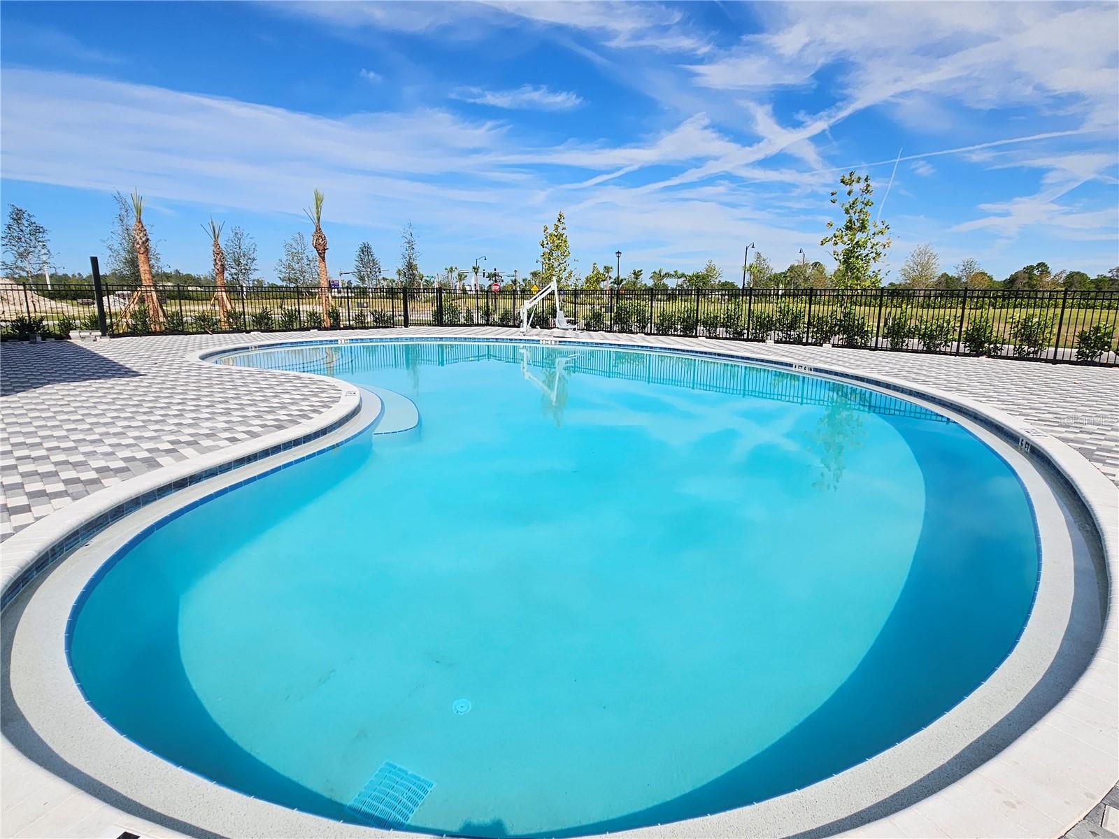 10710 TIGER LILY DR — photo 49