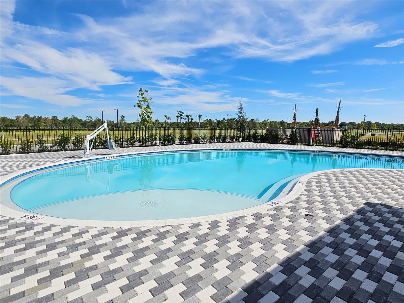 10710 TIGER LILY DR — photo 48