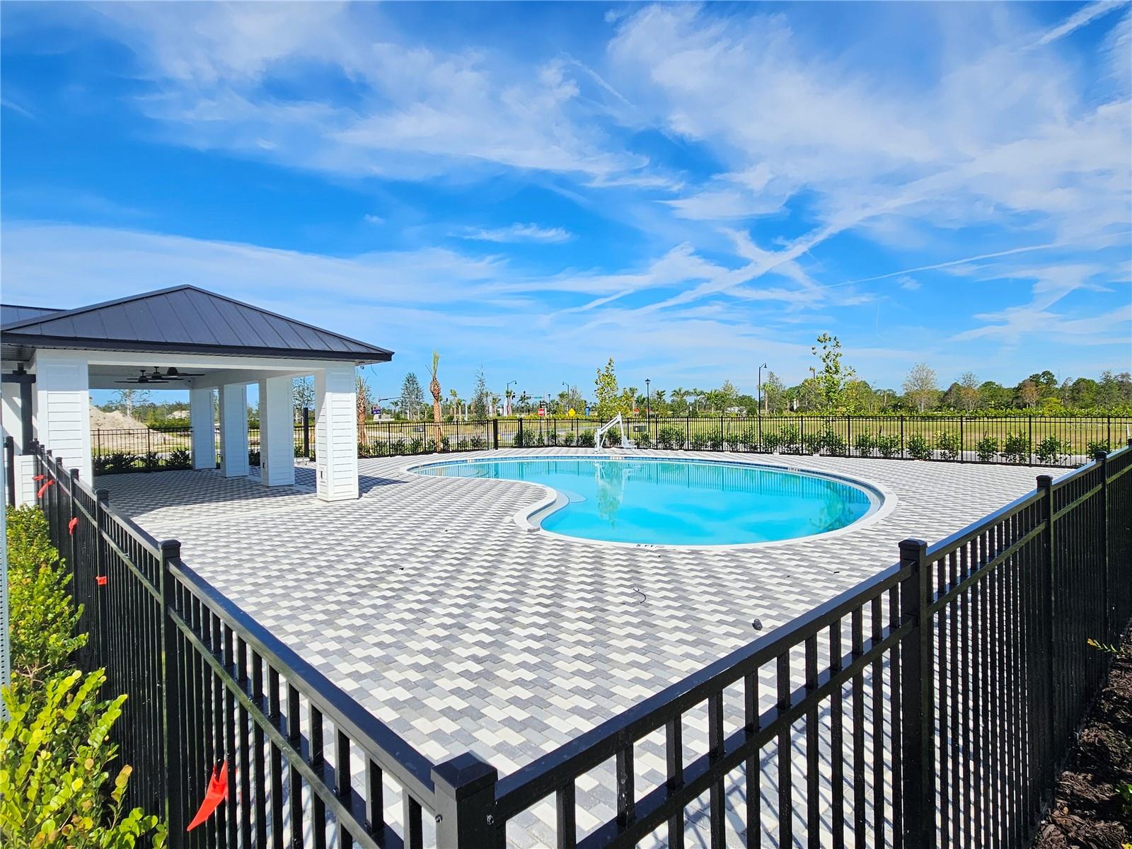 10710 TIGER LILY DR — photo 43