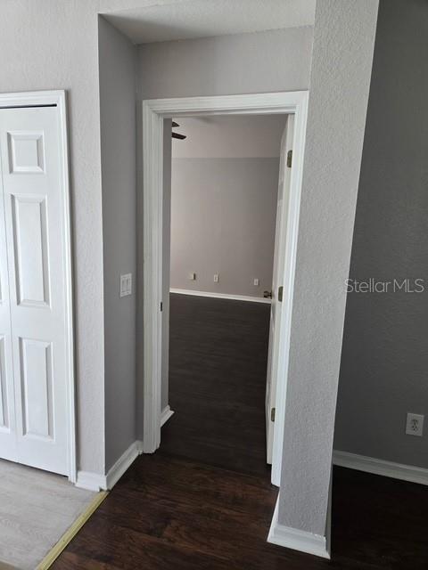 11626 HAMMOCKS GLADE DR — photo 14