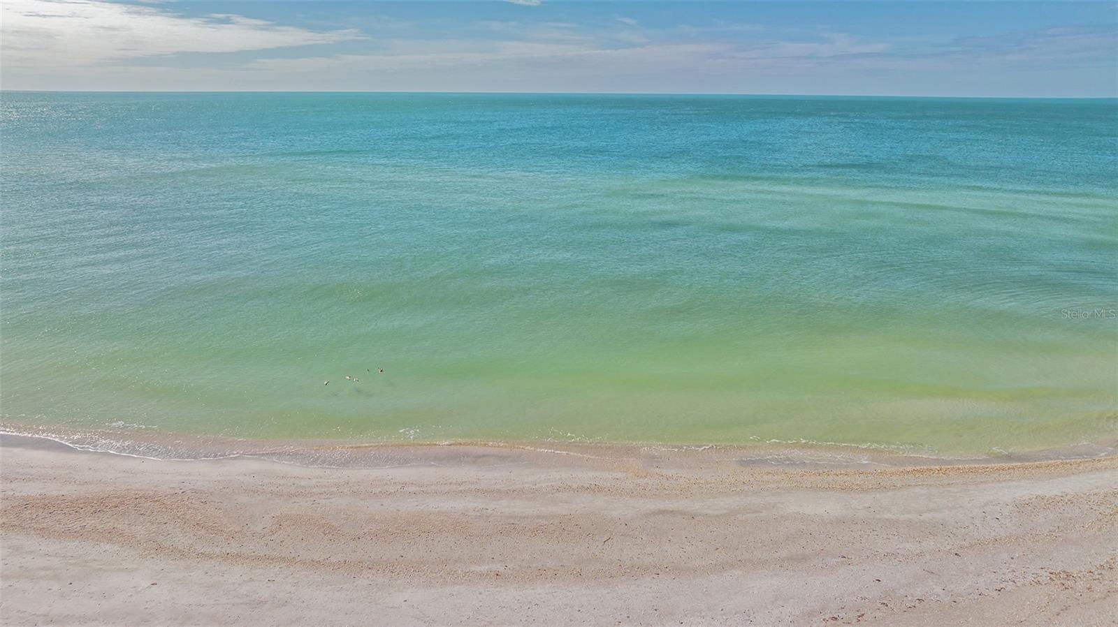 Home in SARASOTA — photo 88