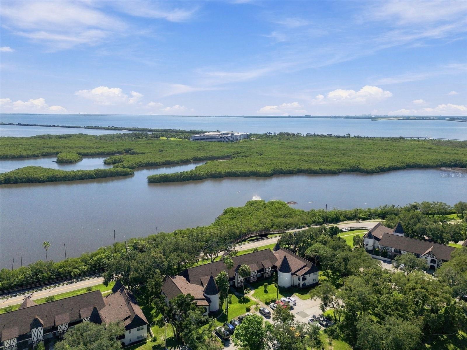 210 N BAYSHORE BLVD #207 — photo 80