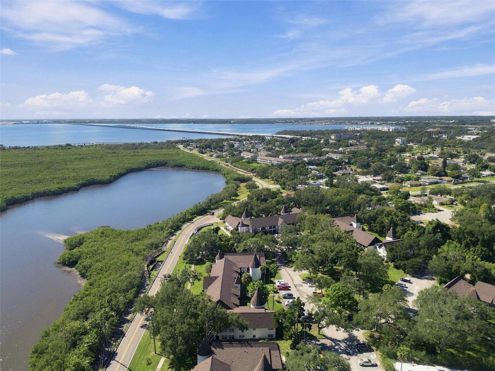 210 N BAYSHORE BLVD #207 — photo 83