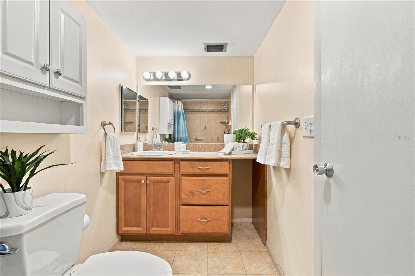 210 N BAYSHORE BLVD #207 — photo 40