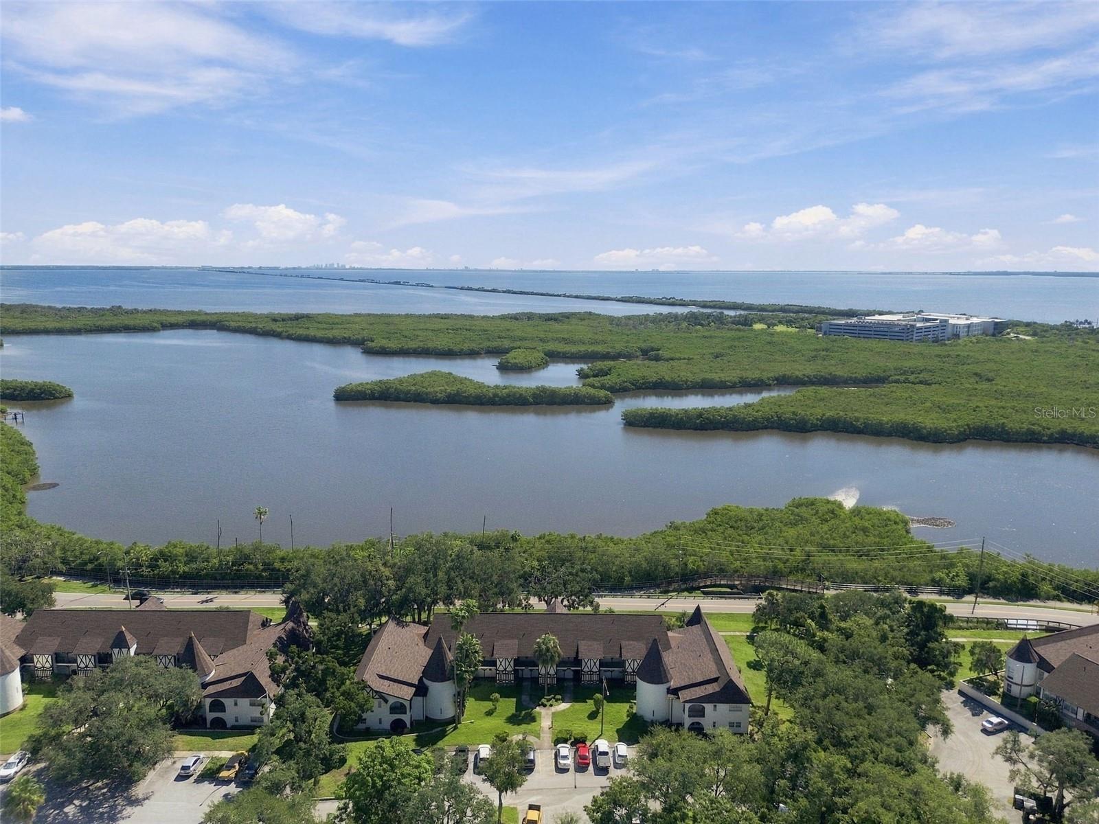 210 N BAYSHORE BLVD #207 — photo 81