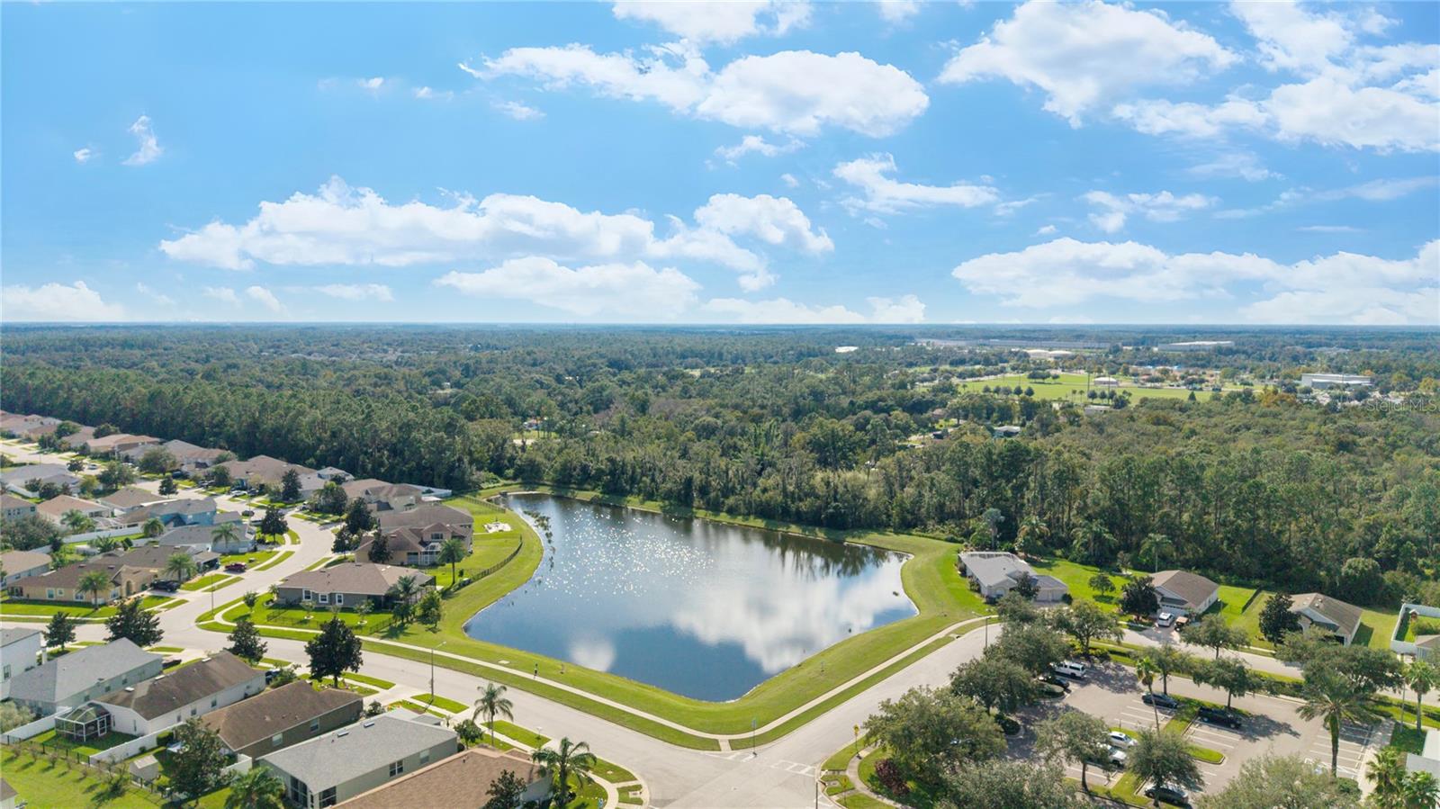 7619 CRESCENT PALM DR — photo 50