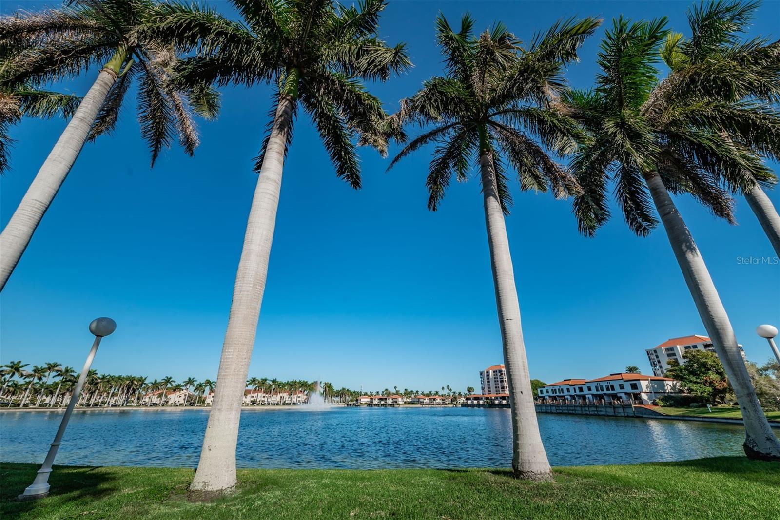 6083 BAHIA DEL MAR CIR #362 — photo 47