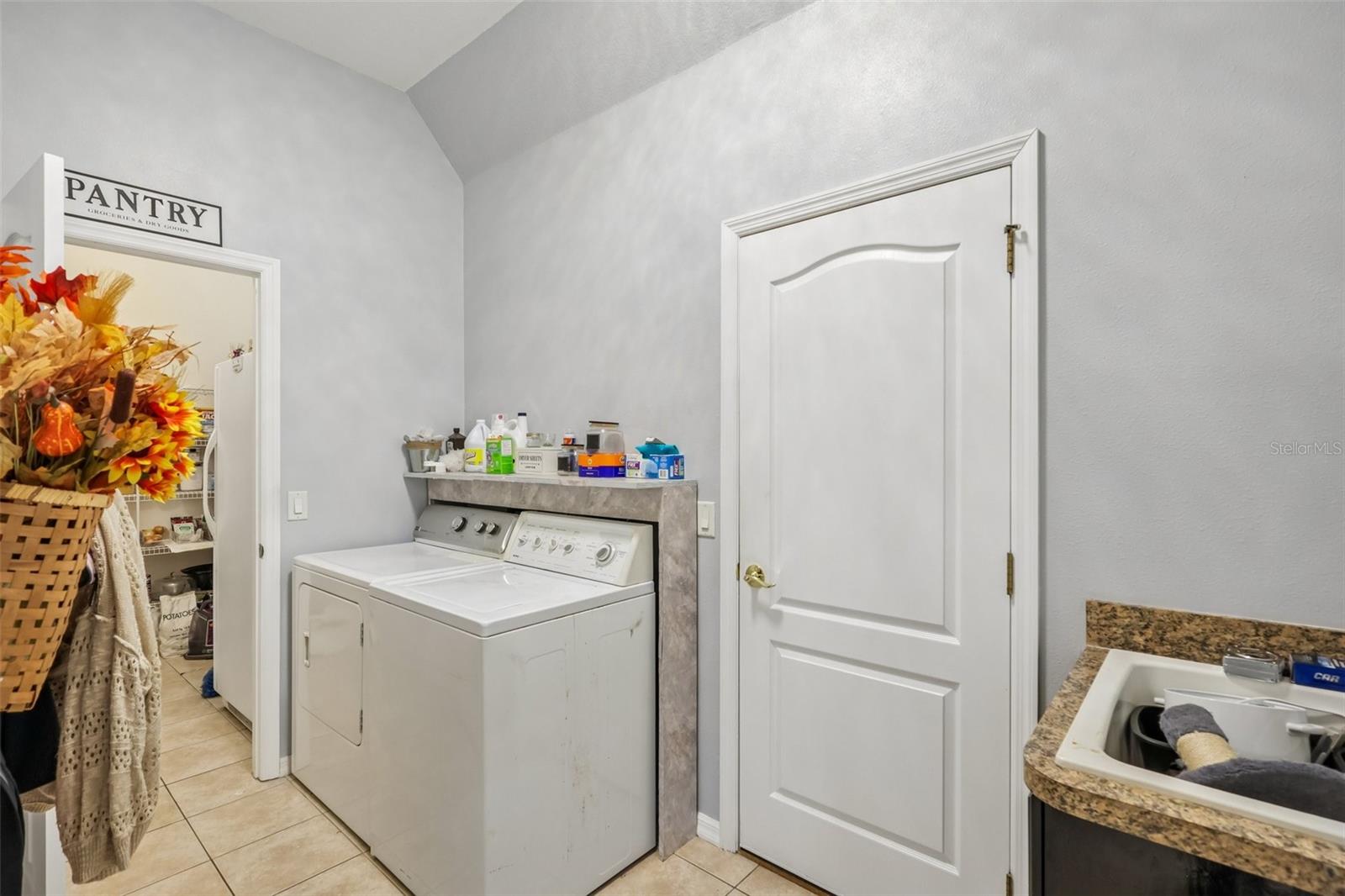 18933 BLACK GUM CT — photo 25