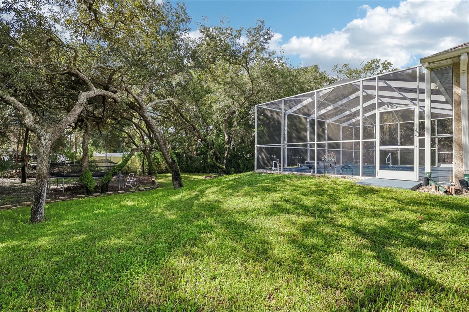 18933 BLACK GUM CT — photo 18