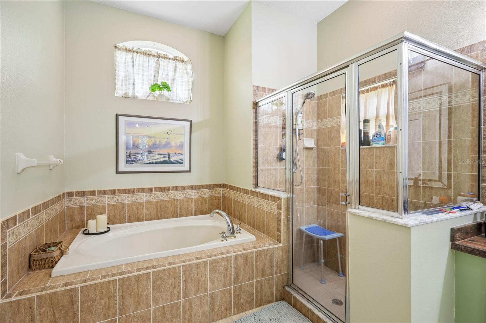 18933 BLACK GUM CT — photo 10