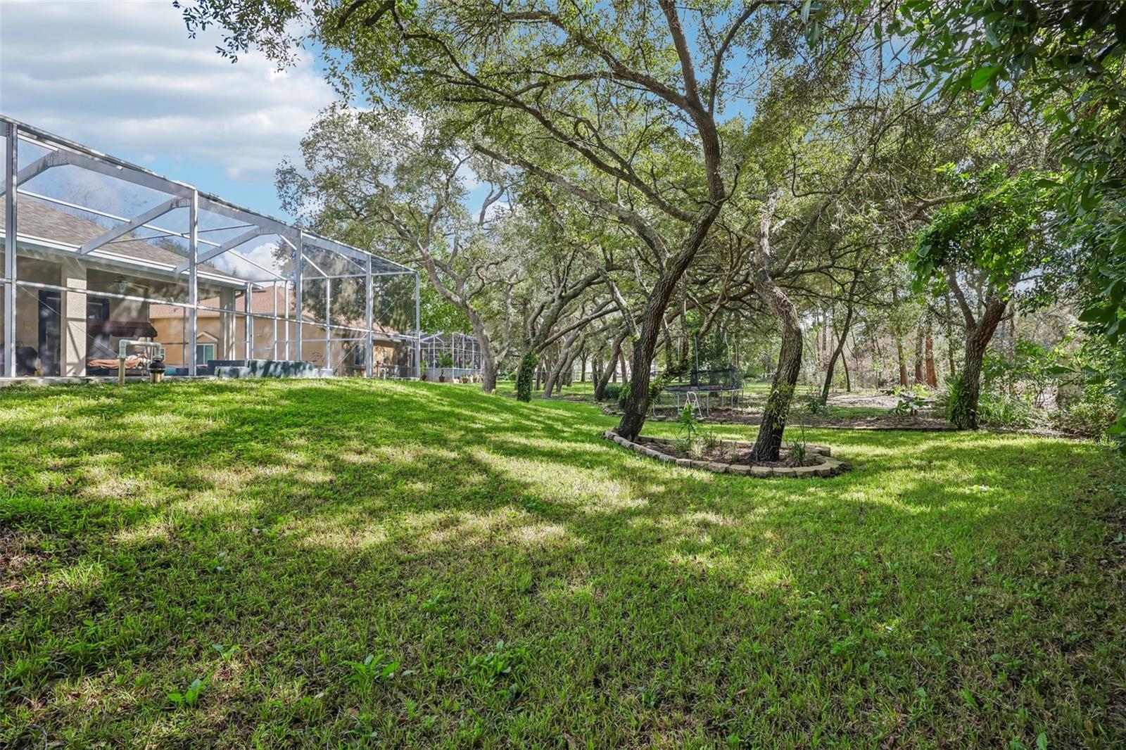 18933 BLACK GUM CT — photo 19