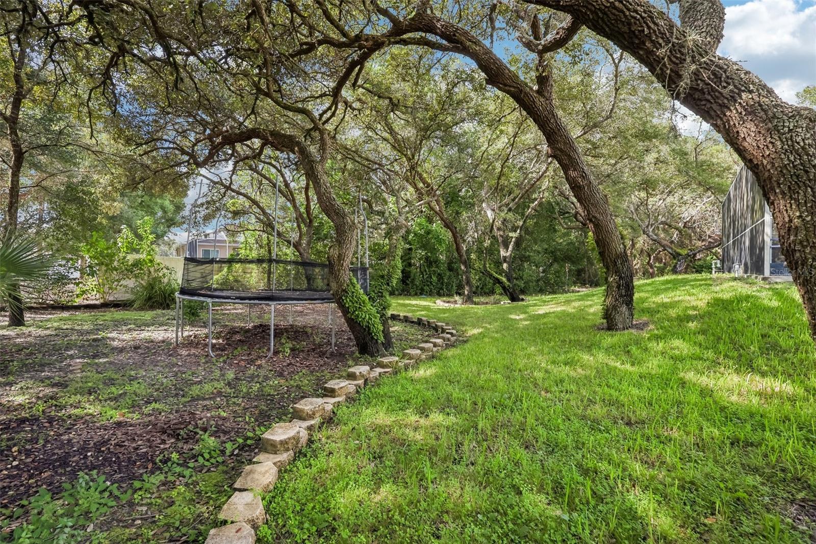 18933 BLACK GUM CT — photo 30