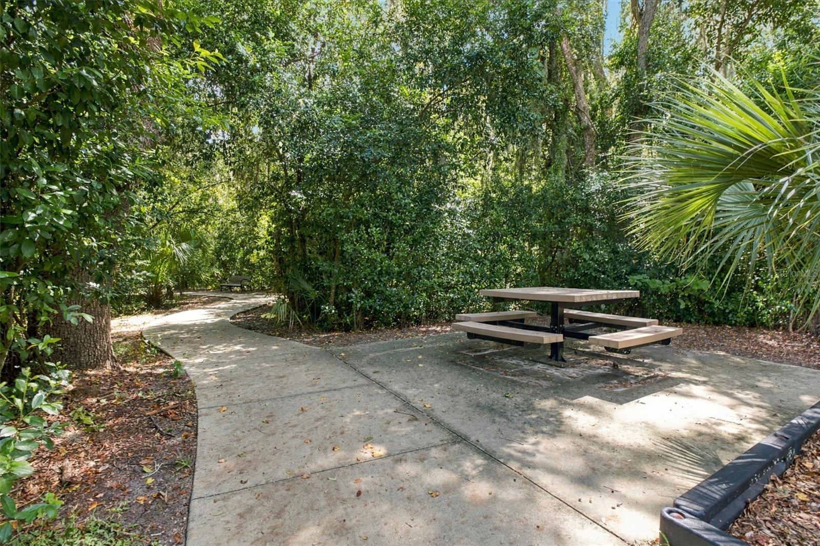 3731 GOLDEN SHINER LN — photo 38