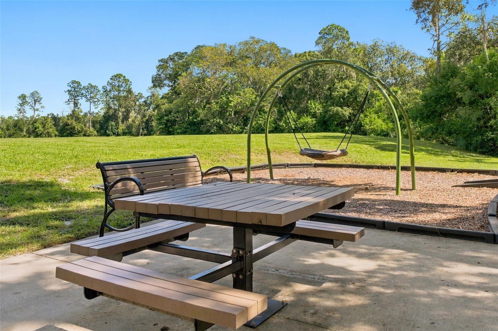 3731 GOLDEN SHINER LN — photo 36