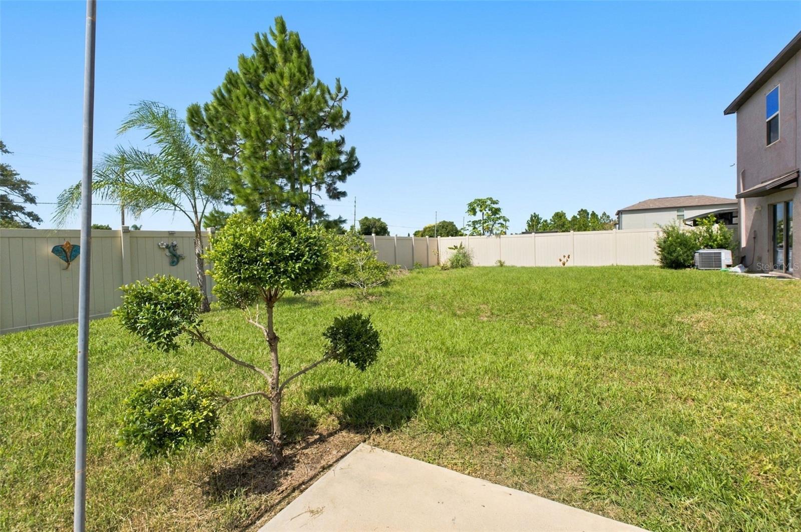 3731 GOLDEN SHINER LN — photo 25