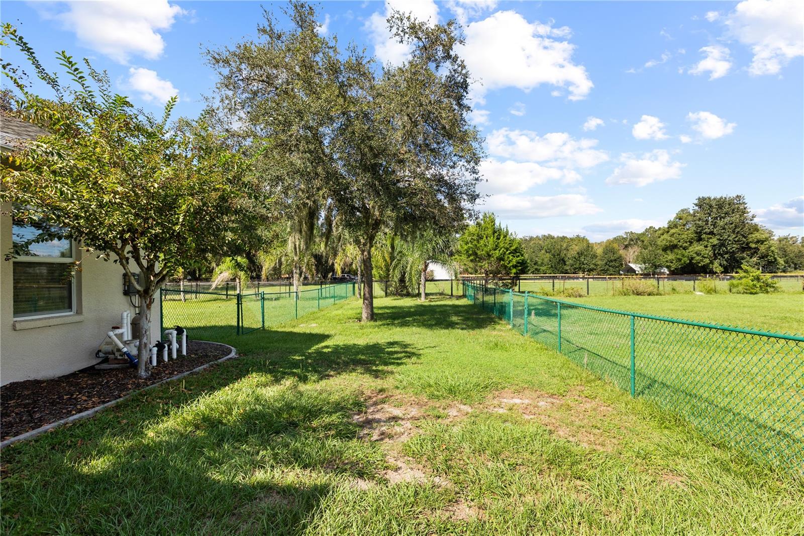 6514 LAKE IRENE DR — photo 65