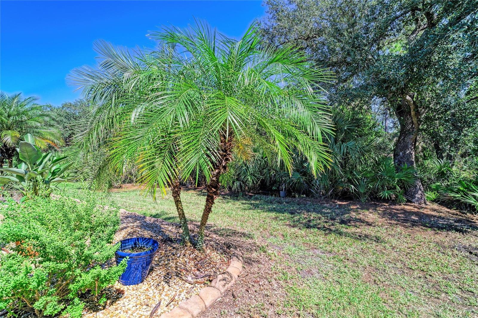 2359 CARAWAY DR — photo 49