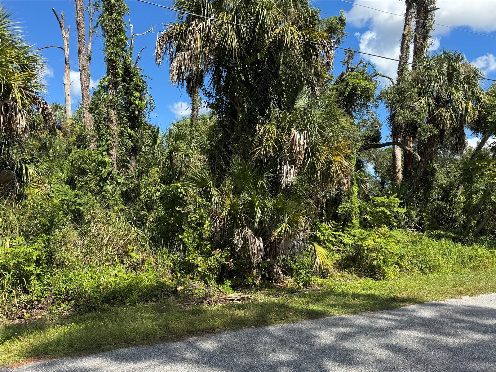 ZAMITA AVE — photo 2