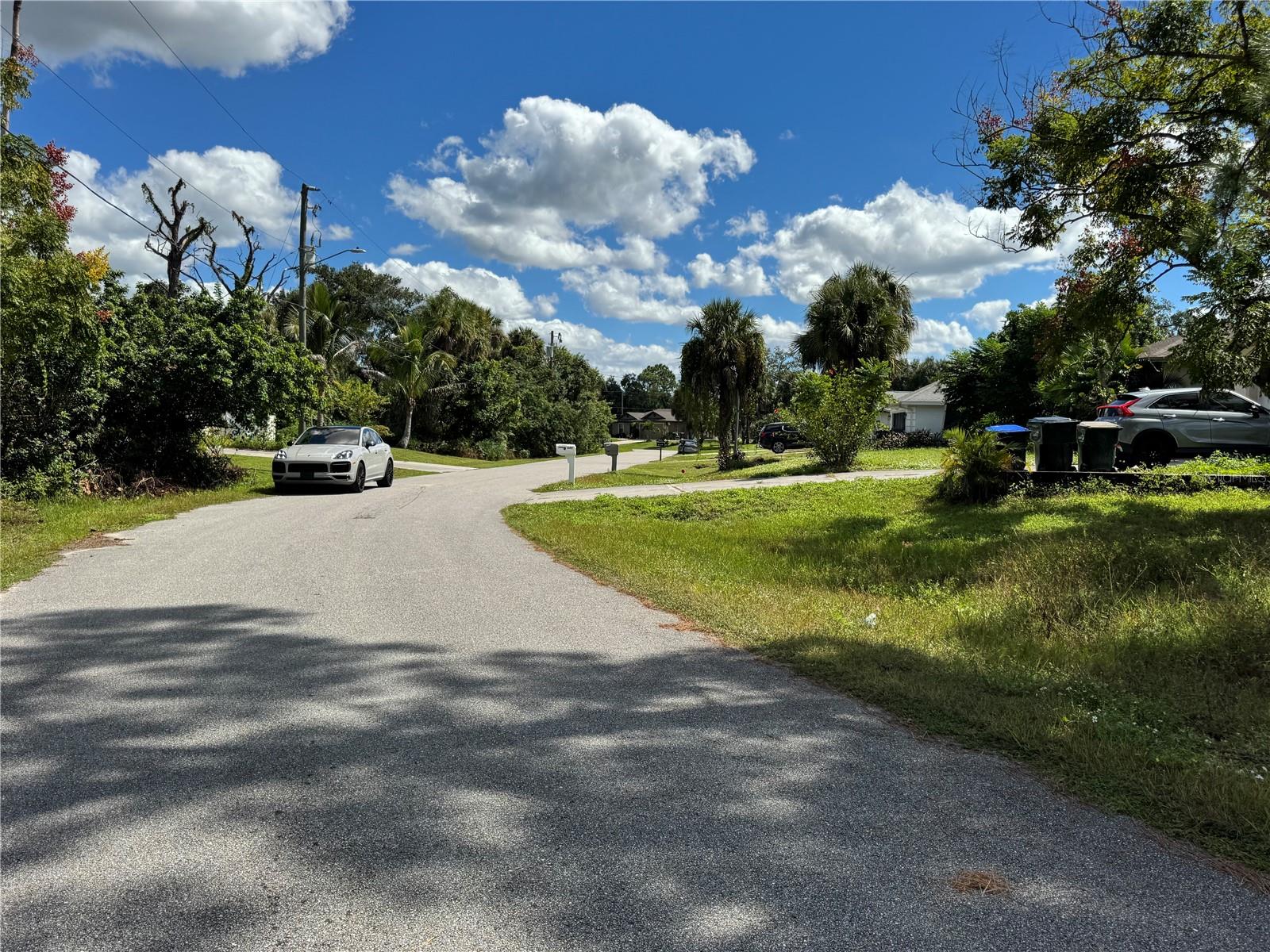 ZAMITA AVE — photo 4
