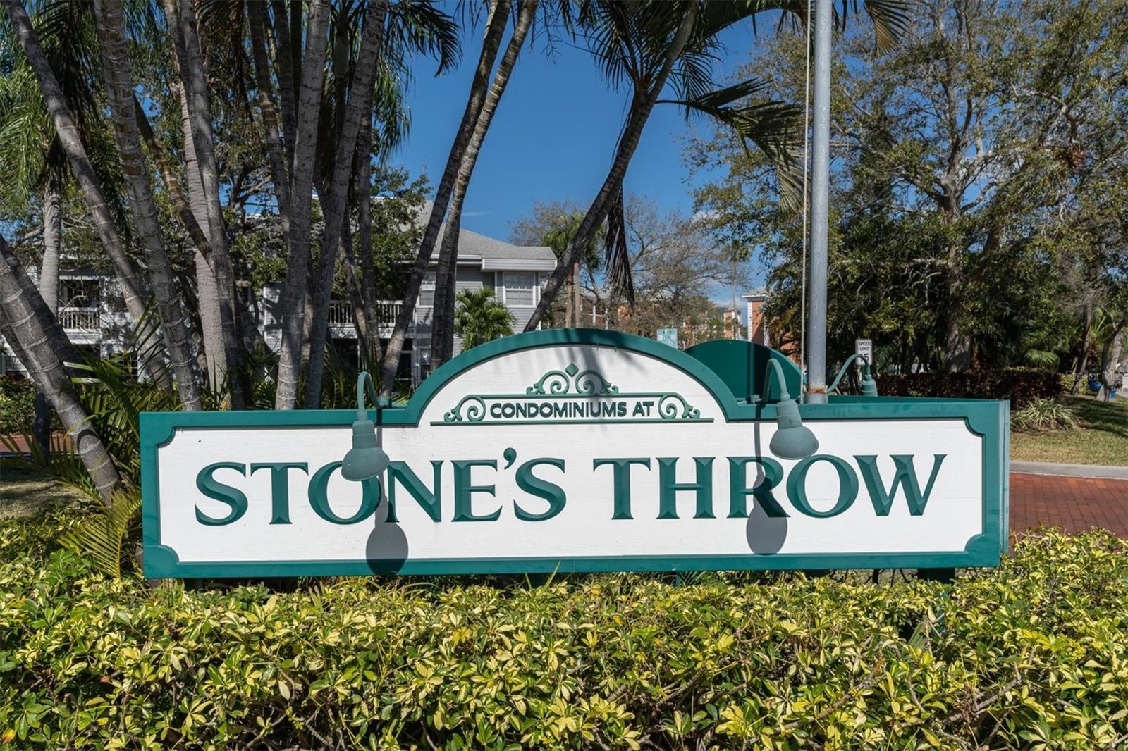 6908 STONES THROW CIR N #10206 — photo 41
