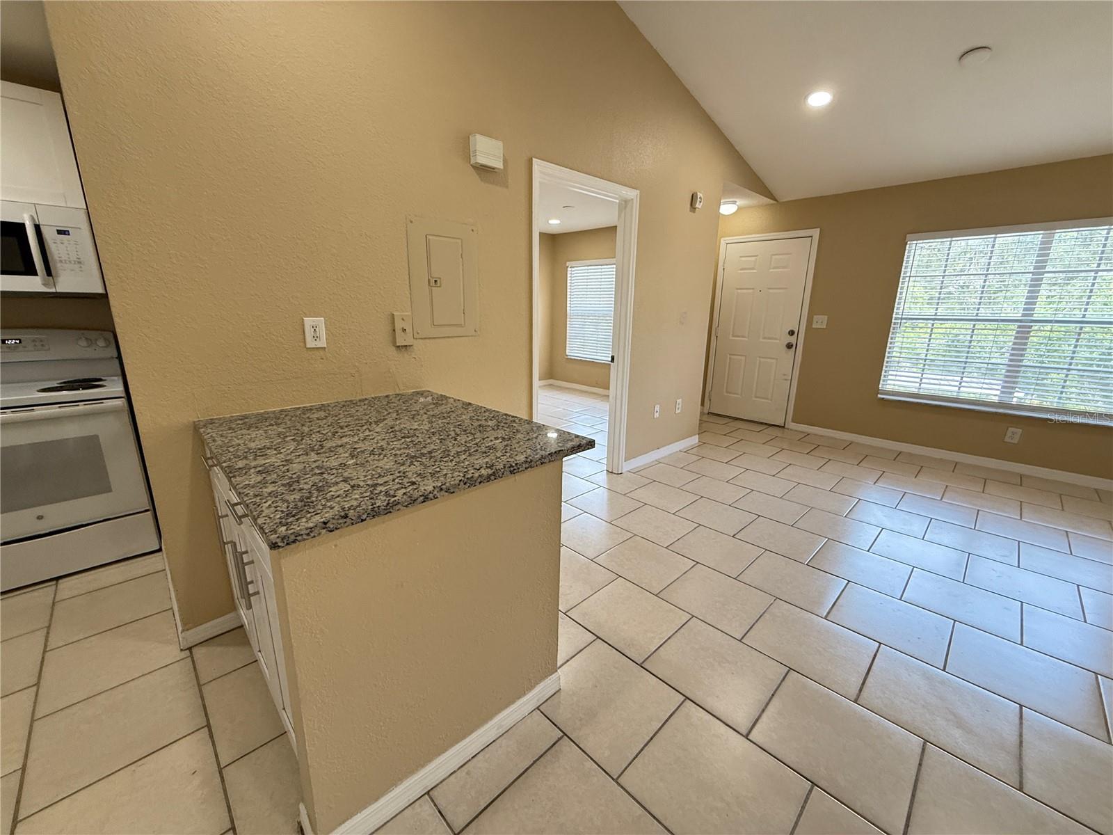 9248 LAKE CHASE ISLAND WAY #9248 — photo 5
