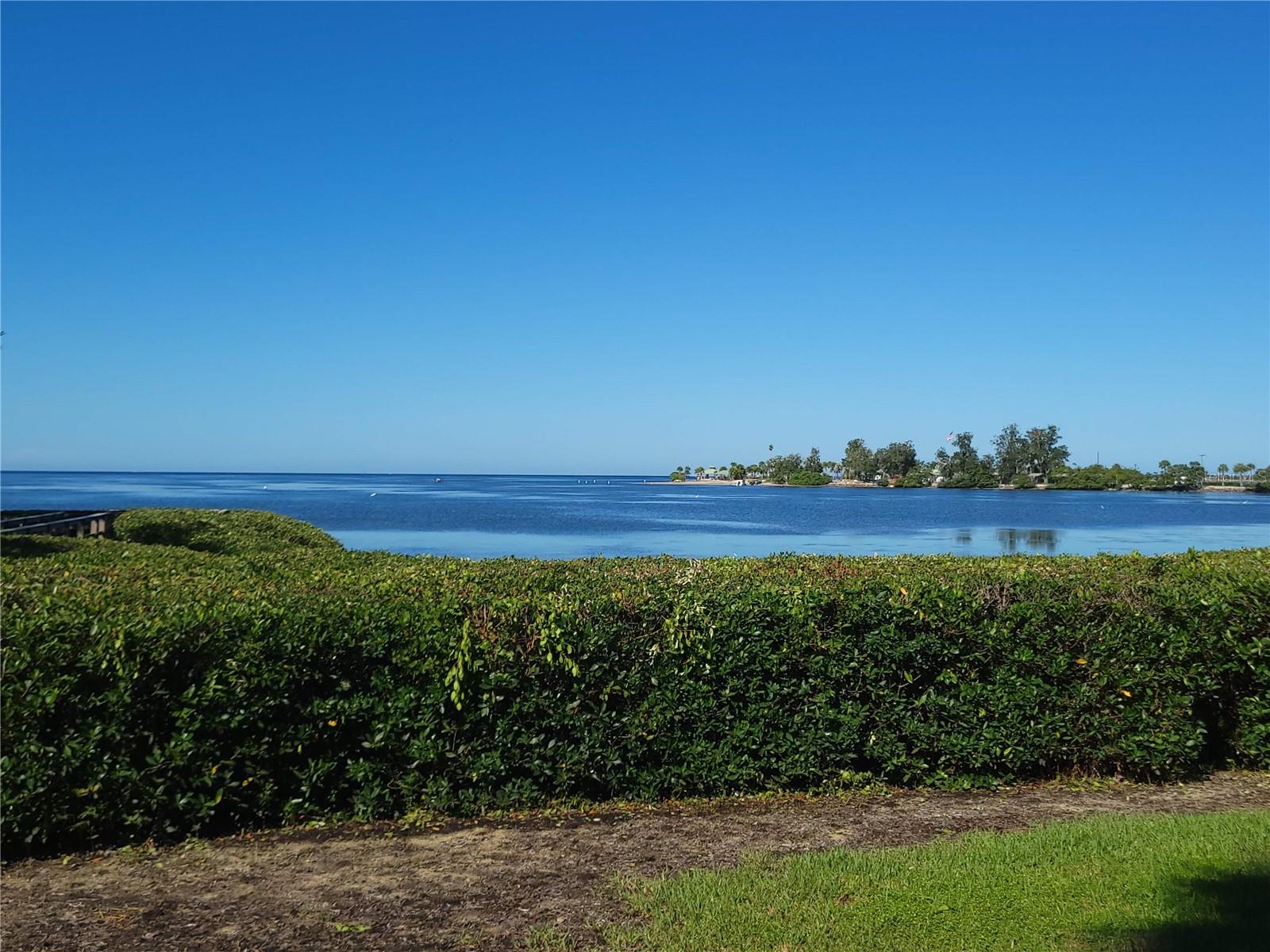 300 S FLORIDA AVE #100L — photo 33