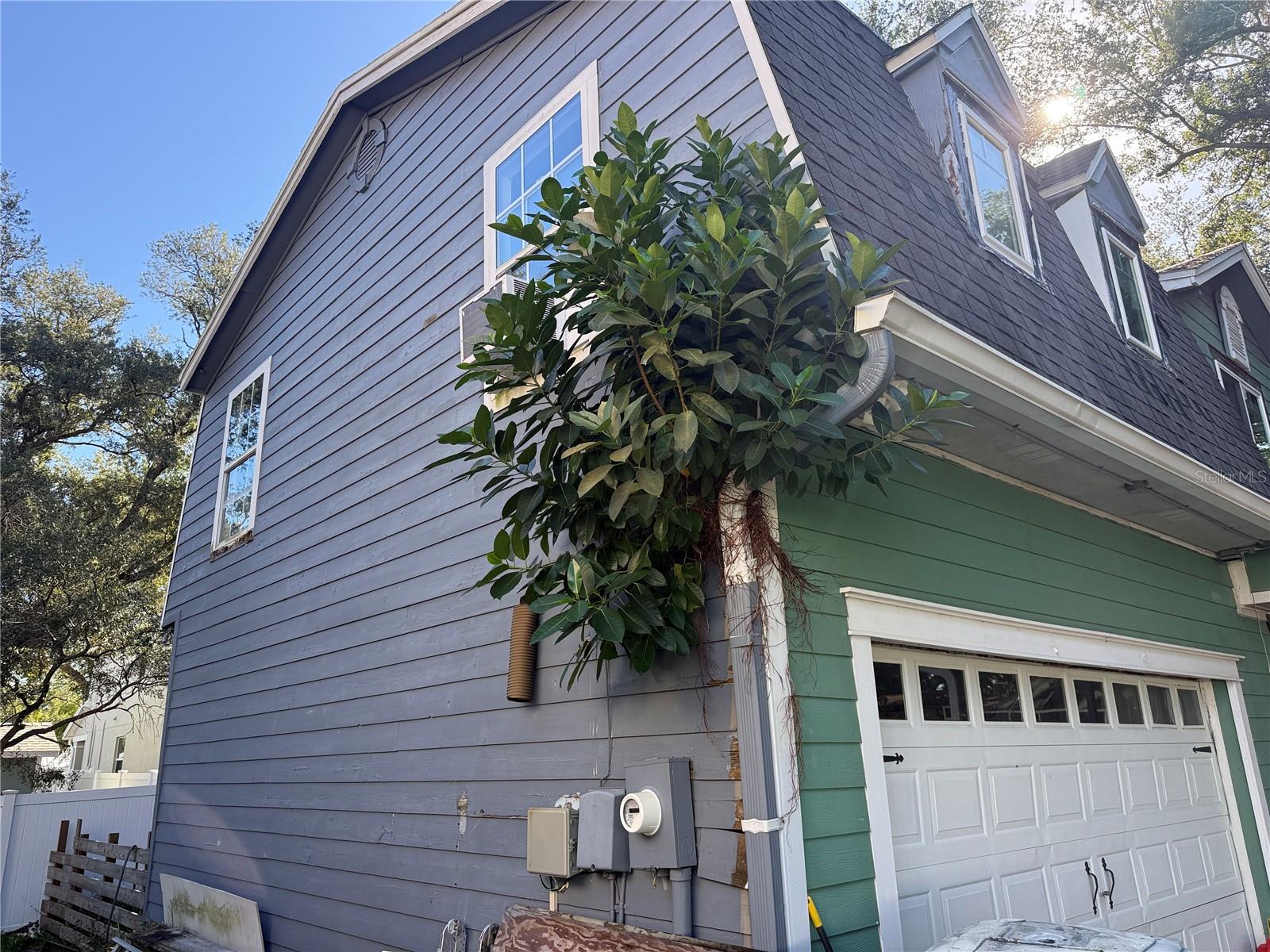 6210 S HIMES AVE — photo 11